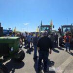 agrotes new 1536x864 Viral Greece