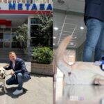 dylan skylos therapeias 2 Viral Greece Ο Ντύλαν έγινε ο πρώτος σκύλος θεραπείας σε δημόσιο νοσοκομείο του ΕΣΥ