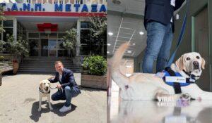 Ο Ντύλαν έγινε ο πρώτος σκύλος θεραπείας σε δημόσιο νοσοκομείο του ΕΣΥ
