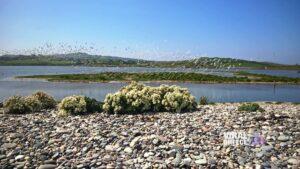 Ευρωπαϊκή Ημέρα Natura 2000: Η φύση στο επίκεντρο της ευρωπαϊκής προστασίας