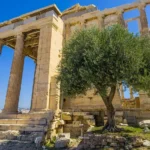 5 6 1jpg Viral Greece