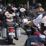 875 7c15340a 0d49 4ca9 bda5 9638ab3fb304 Viral Greece