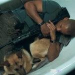 Η ταινία της ημέρας: Ζωντανός Θρύλος (I Am Legend, 2007)