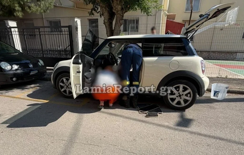 Αναστάτωση στη Λαμία: Φίδι εισέβαλε σε αυτοκίνητο και κρύφτηκε μέσα στο ταμπλό