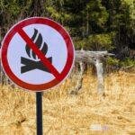apagoreusi dasi 768x576 Viral Greece Αυστηρά μέτρα πυροπροστασίας στην Αρκαδία – Απαγόρευση πρόσβασης σε δάση και περιοχές Natura όταν ο κίνδυνος πυρκαγιάς είναι υψηλός