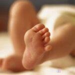 brefos 1024x577 1 768x433 Viral Greece Δημογραφικό αδιέξοδο: Νέα μείωση των γεννήσεων στην Ελλάδα το 2025