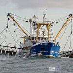 commercial fishing Viral Greece