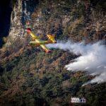 fish96 canadair 6768428 640 Viral Greece