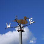 imageparty weather vane 498740 1280 Viral Greece