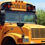 noname 13 school bus 4406479 1920 Viral Greece