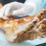 otzi mummy Viral Greece