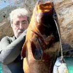 polakis rofos Viral Greece