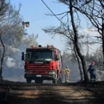 Συνελήφθη πρώην υποψήφια βουλευτής στην Κορινθία για εμπρησμό από πρόθεση – Πολιτικές αντιδράσεις και έρευνα των Αρχών