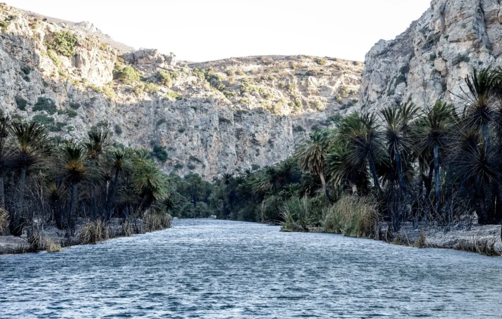 Πρέβελη: Αποκαρδιωτικές εικόνες μετά τη φωτιά – Δεν είναι ολοκληρωτική η καταστροφή