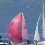 Screenshot 2026 07 26 135157 Viral Greece 36η Διεθνής Ιστιοπλοϊκή Εβδομάδα Ιονίου 2026: Από την Κέρκυρα στην Ερείκουσα άνοιξε πανιά το Ράλι Ιονίου