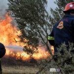 Συναγερμός για τις φωτιές: 500 πυρκαγιές από την 1η Αυγούστου – Σε αυξημένη επιφυλακή η Πυροσβεστική