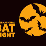 International Bat Night Holiday concept Template for background banner card poster with text inscription Vector EPS10 illustration Viral Greece