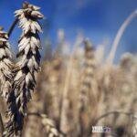 Οι οκτώ καλύτερες ιδέες για να απολαύσετε τις μέρες του Αυγούστου χωρίς πολλά χρήματα