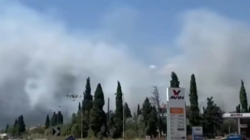 Συναγερμός για φωτιά στη Μακύνεια – Μεγάλη κινητοποίηση της Πυροσβεστικής
