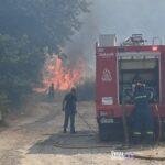 Άγγλοι τουρίστες πλήρωσαν τα νερά πυροσβεστών στην Κεφαλονιά – Μια αυθόρμητη κίνηση ευγνωμοσύνης μέσα στην πυρκαγιά