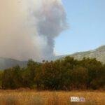 Πικέρμι: Νεκρός άνδρας εντοπίστηκε απανθρακωμένος μέσα σε αυτοκίνητο μετά από πυρκαγιά