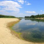 Danubes water levels drop to historic low in Romania Viral Greece Η αλήθεια πίσω από την υπερξηρασία των ποταμών το 2025