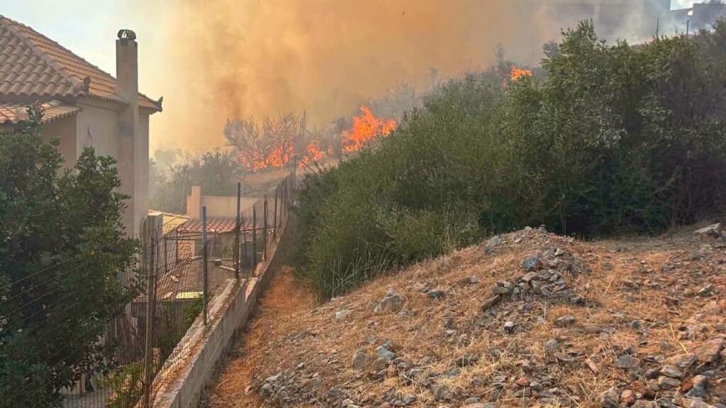 793595758 1628160725592993 6399282164198957855 n Viral Greece