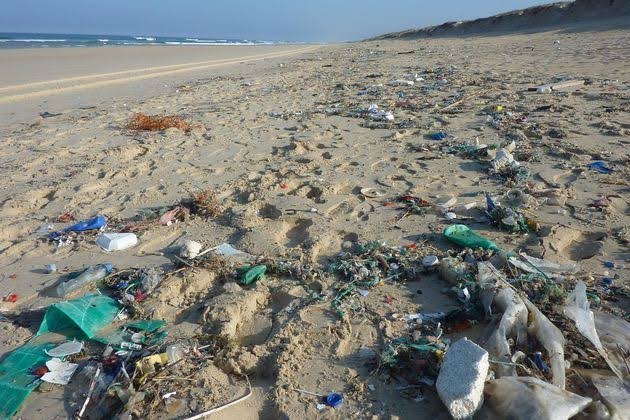 images 10 Viral Greece Σοκ στις ελληνικές παραλίες: Τα αποτσίγαρα και τα μικροπλαστικά «πνίγουν» τις ακτές