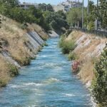 Τι πραγματικά σκοτώνει τα ψάρια του Κηφισού