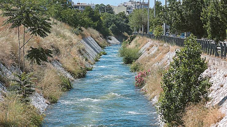 images 9 Viral Greece Τι πραγματικά σκοτώνει τα ψάρια του Κηφισού