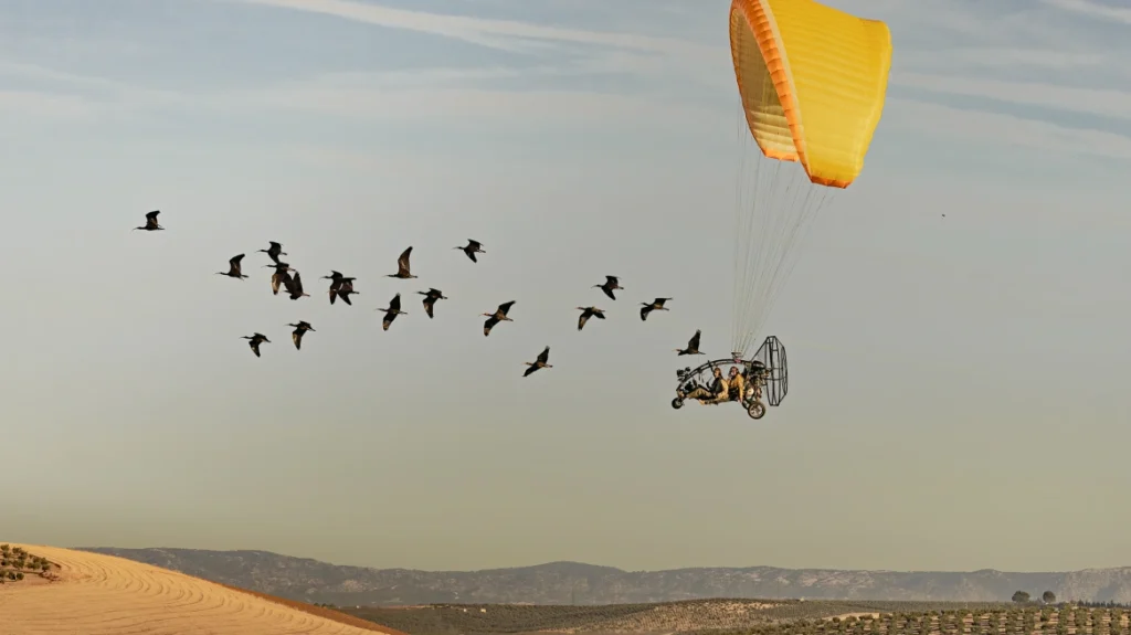migrating ibis Viral Greece Η φωτογραφία που έκλεψε την παράσταση: Φοιτητής απαθανάτισε σπάνια πουλιά σε μοναδική στιγμή
