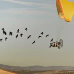 migrating ibis Viral Greece Η φωτογραφία που έκλεψε την παράσταση: Φοιτητής απαθανάτισε σπάνια πουλιά σε μοναδική στιγμή