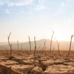 shutterstock climate klimatiki allagi 1 Viral Greece