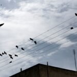 ÐÅÑÉÓÔÅÑÉÁ ÐÁÍÙ ÓÅ ÓÕÑÌÁÔÁ ÔÇÓ ÄÅÇ ÓÔÏ ÊÅÍÔÑÏ ÔÇÓ ÁÈÇÍÁÓ Viral Greece Συναγερμός στις Άλπεις: Η Ελβετία έχασε το 20% των παγετώνων της σε μόλις πέντε χρόνια
