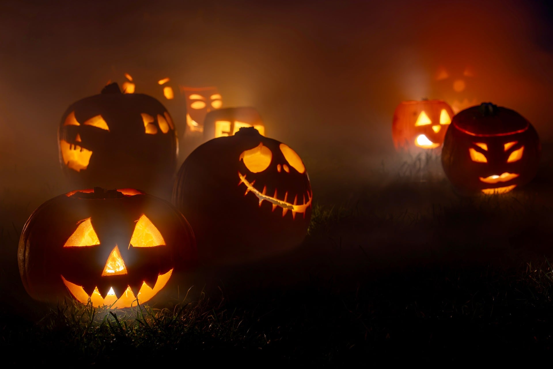 suju foto pumpkin 10520325 1920